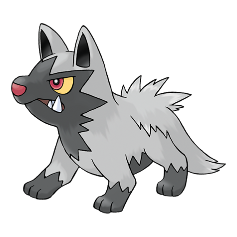 Poochyena - Dark type Pokémon #261, official artwork