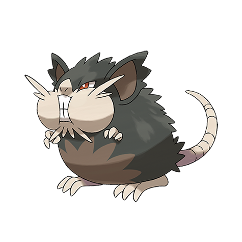 Raticate-totem-alola - dark/normal type Pokémon #10093, official artwork from Pokédex