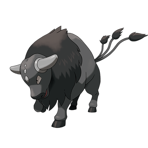 Tauros-paldea-combat-breed - Fighting type Pokémon #10250, official artwork