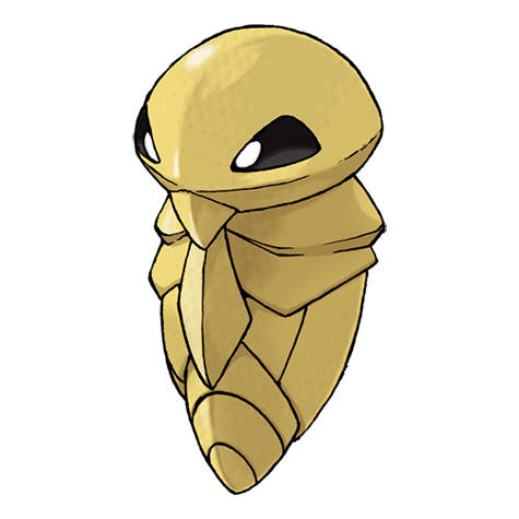 Kakuna - bug/poison type Pokémon #14