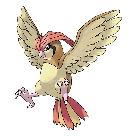 Pidgeotto - normal/flying type Pokémon #17, official artwork from Pokédex