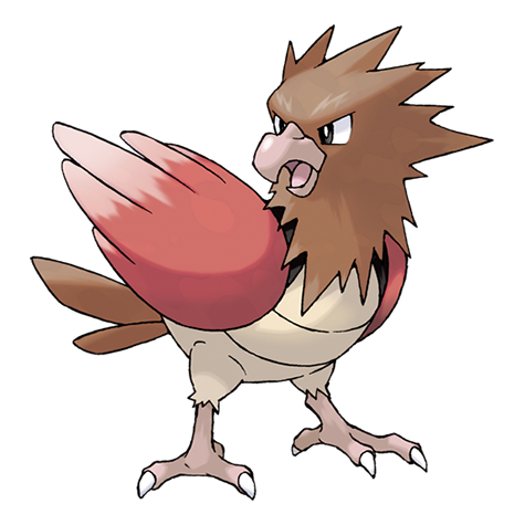 Spearow - normal/flying type Pokémon #21, official artwork from Pokédex