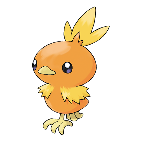 Torchic - fire type Pokémon #255, official artwork from Pokédex