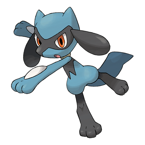 Riolu - fighting type Pokémon #447