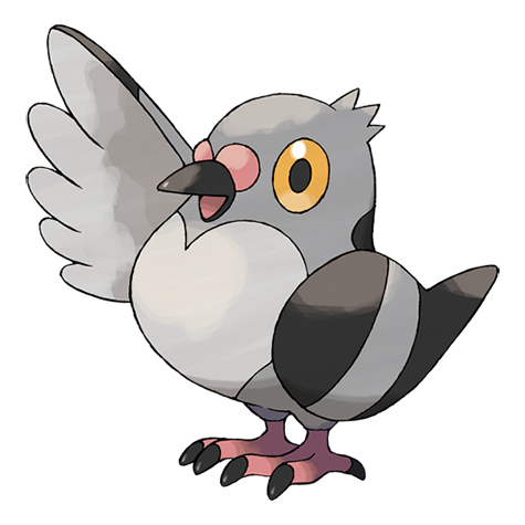Pidove - normal/flying type Pokémon #519, official artwork from Pokédex