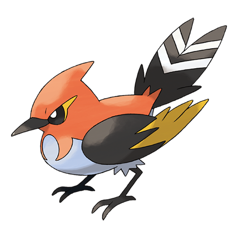 Fletchinder - fire/flying type Pokémon #662